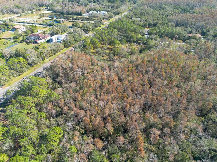 332 RANCH RD, TARPON SPRINGS, FL, 34688