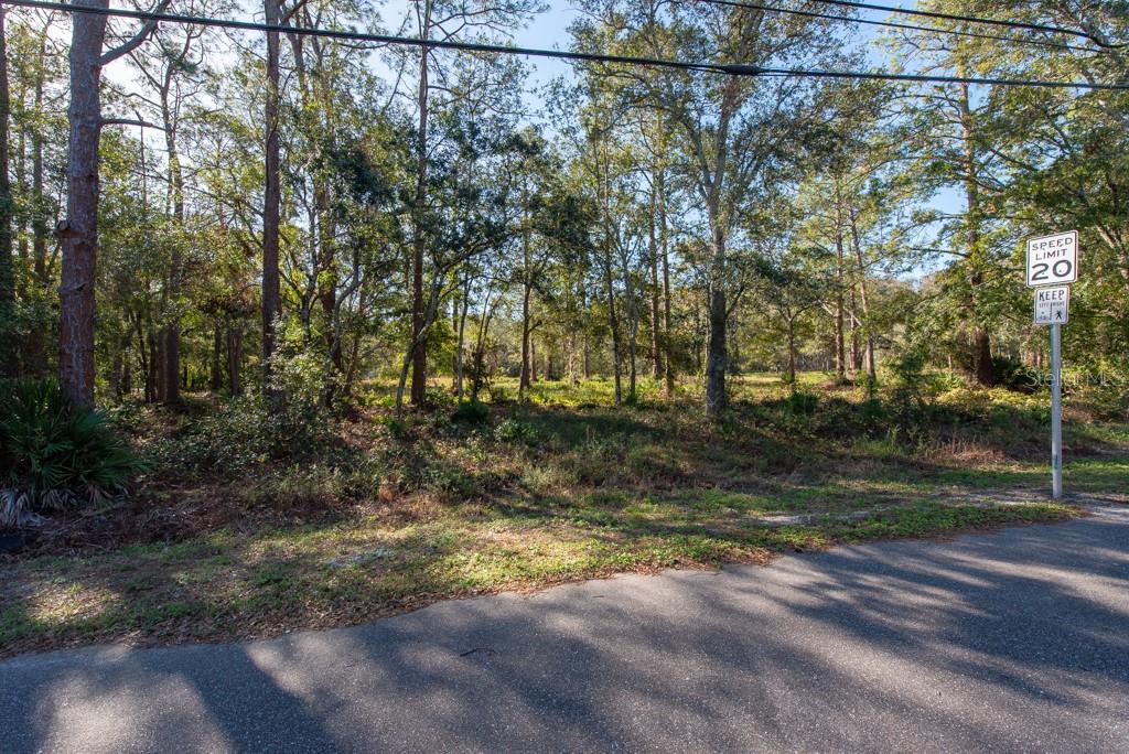 332 RANCH RD, TARPON SPRINGS, FL, 34688