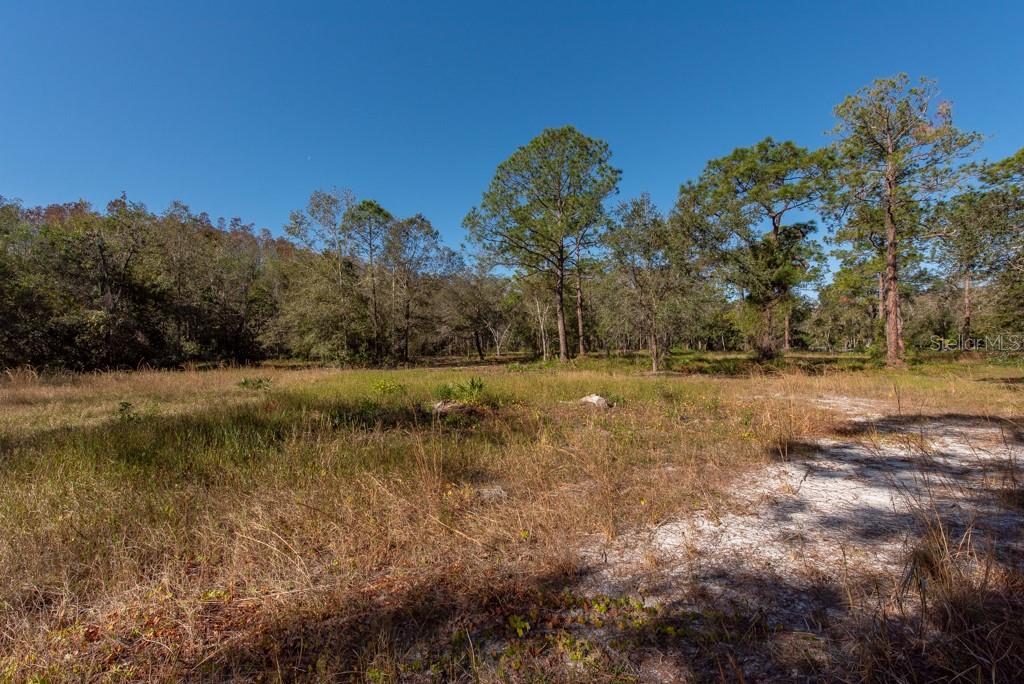 332 RANCH RD, TARPON SPRINGS, FL, 34688