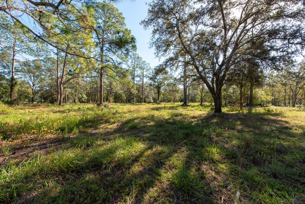332 RANCH RD, TARPON SPRINGS, FL, 34688
