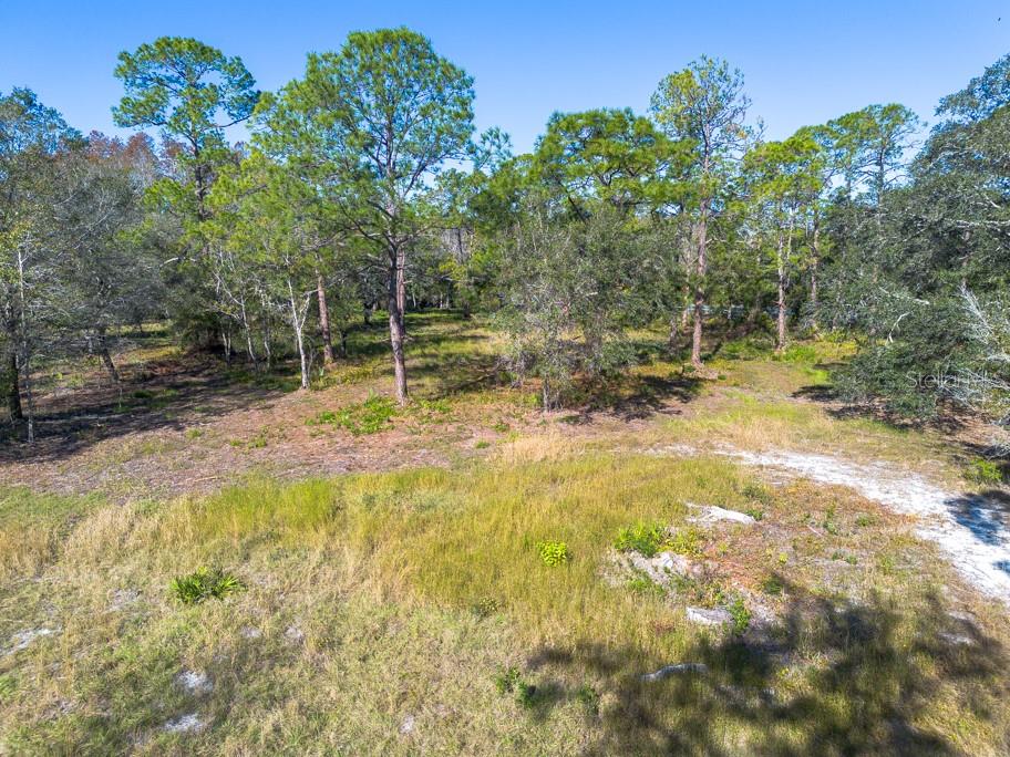 332 RANCH RD, TARPON SPRINGS, FL, 34688