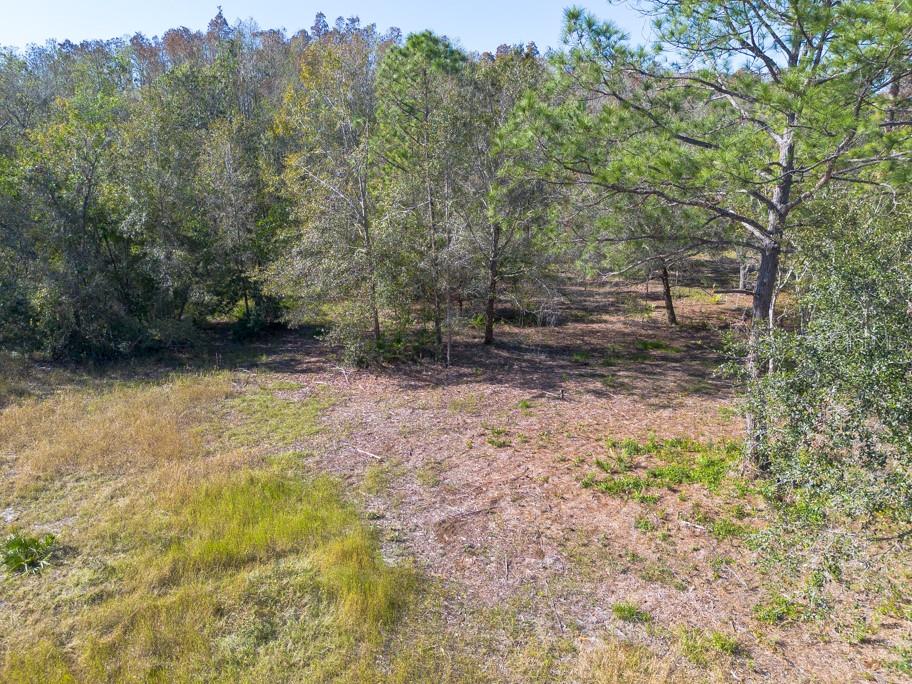 332 RANCH RD, TARPON SPRINGS, FL, 34688