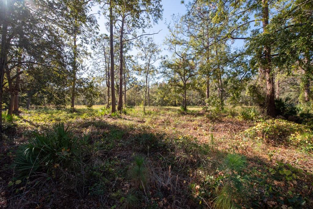 332 RANCH RD, TARPON SPRINGS, FL, 34688