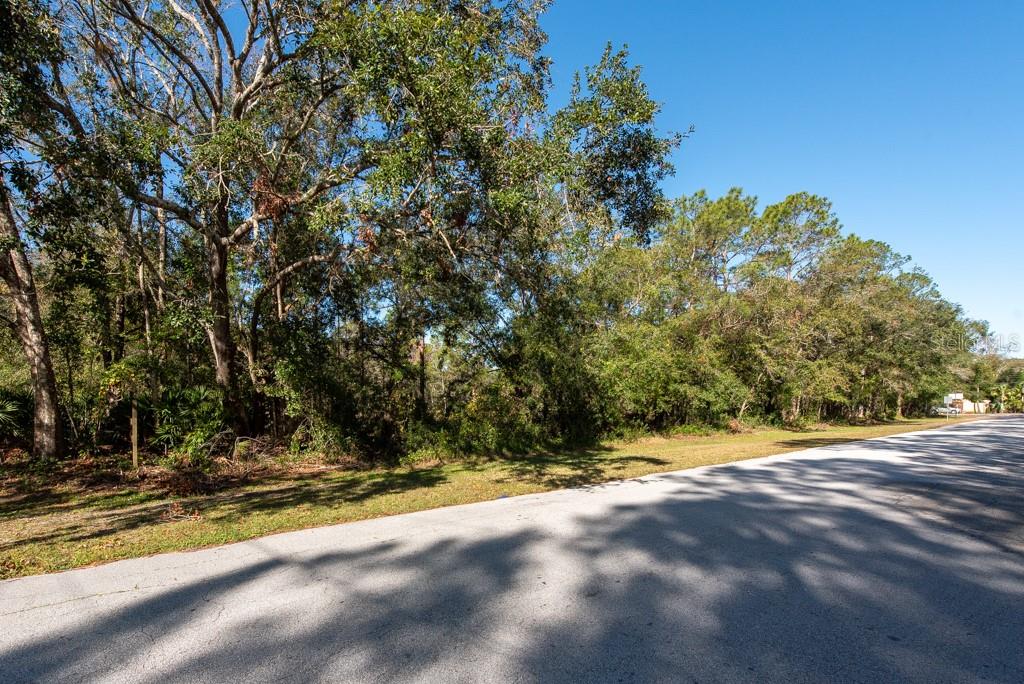 332 RANCH RD, TARPON SPRINGS, FL, 34688