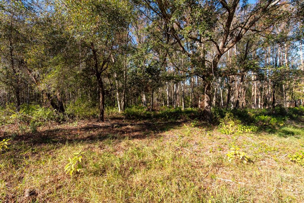 332 RANCH RD, TARPON SPRINGS, FL, 34688