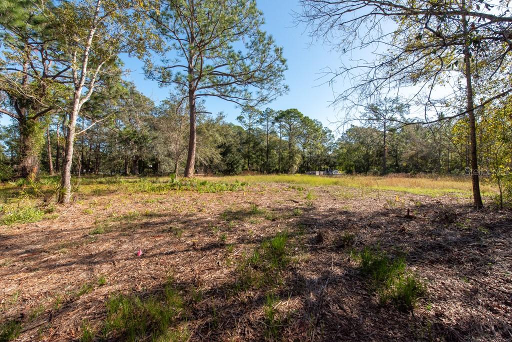 332 RANCH RD, TARPON SPRINGS, FL, 34688