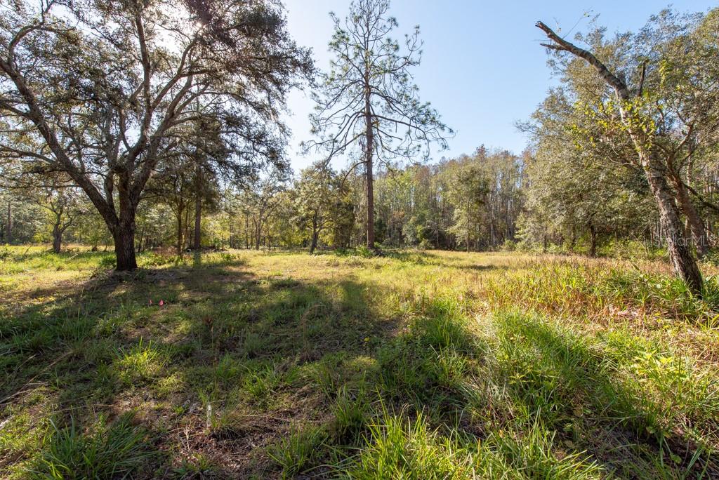 332 RANCH RD, TARPON SPRINGS, FL, 34688