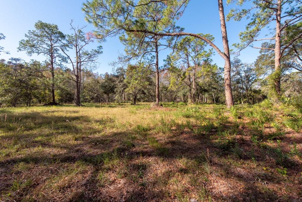 332 RANCH RD, TARPON SPRINGS, FL, 34688
