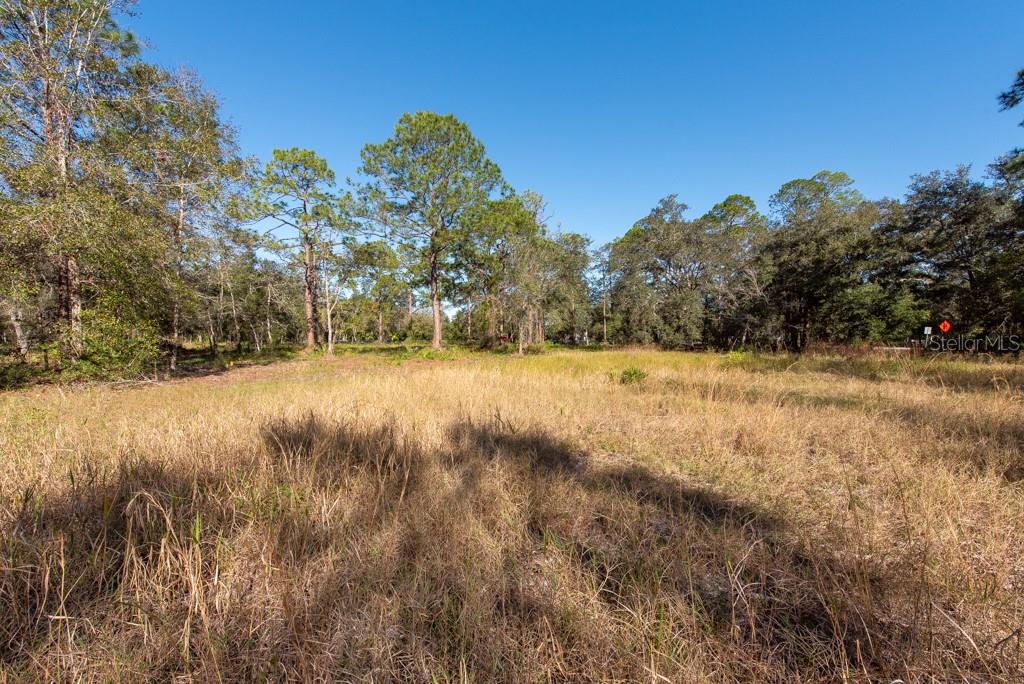 332 RANCH RD, TARPON SPRINGS, FL, 34688