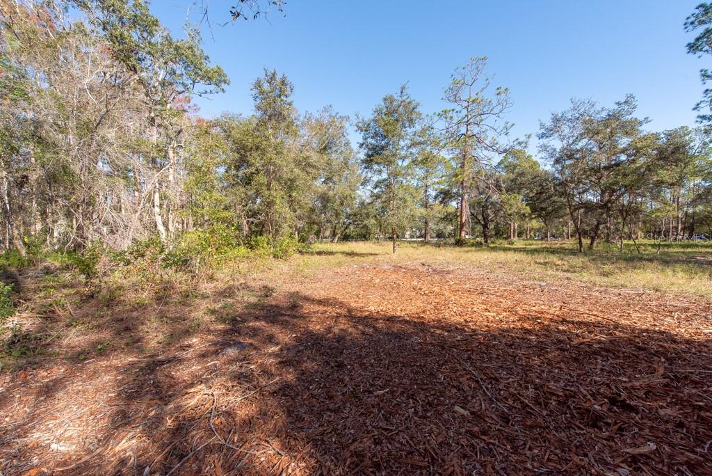 332 RANCH RD, TARPON SPRINGS, FL, 34688