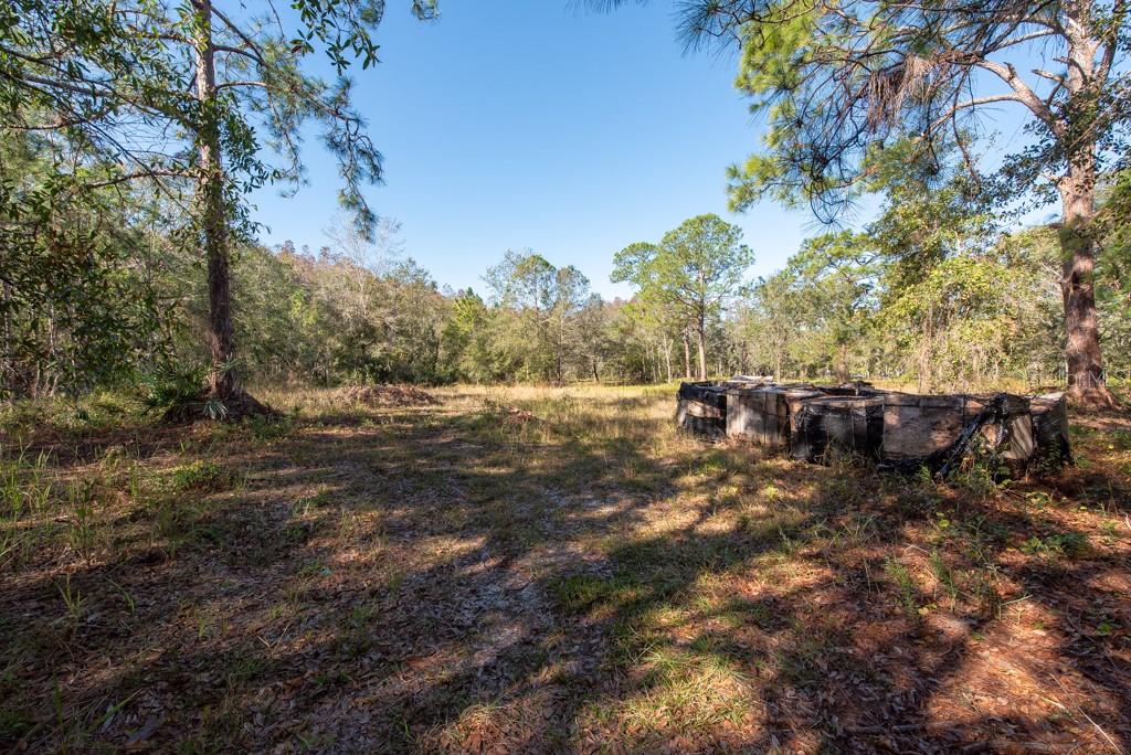 332 RANCH RD, TARPON SPRINGS, FL, 34688