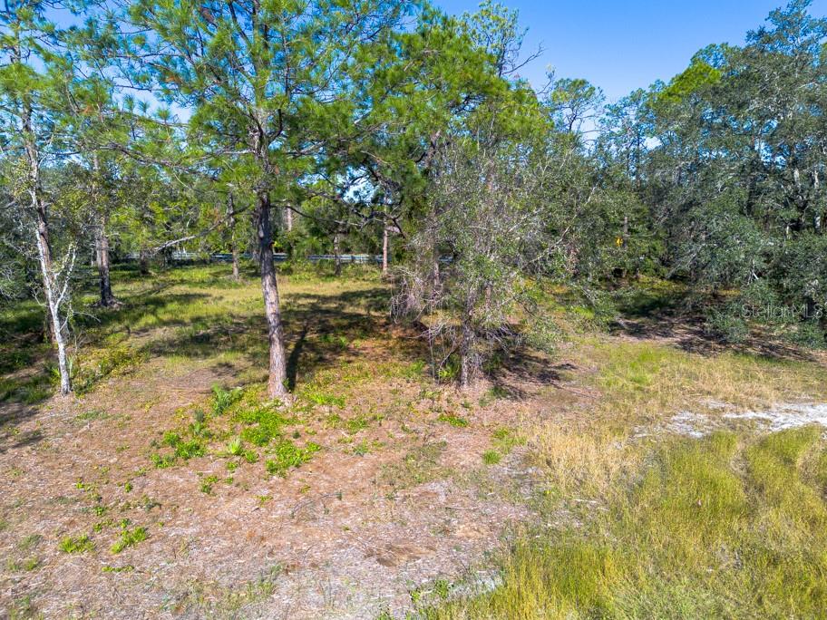 332 RANCH RD, TARPON SPRINGS, FL, 34688