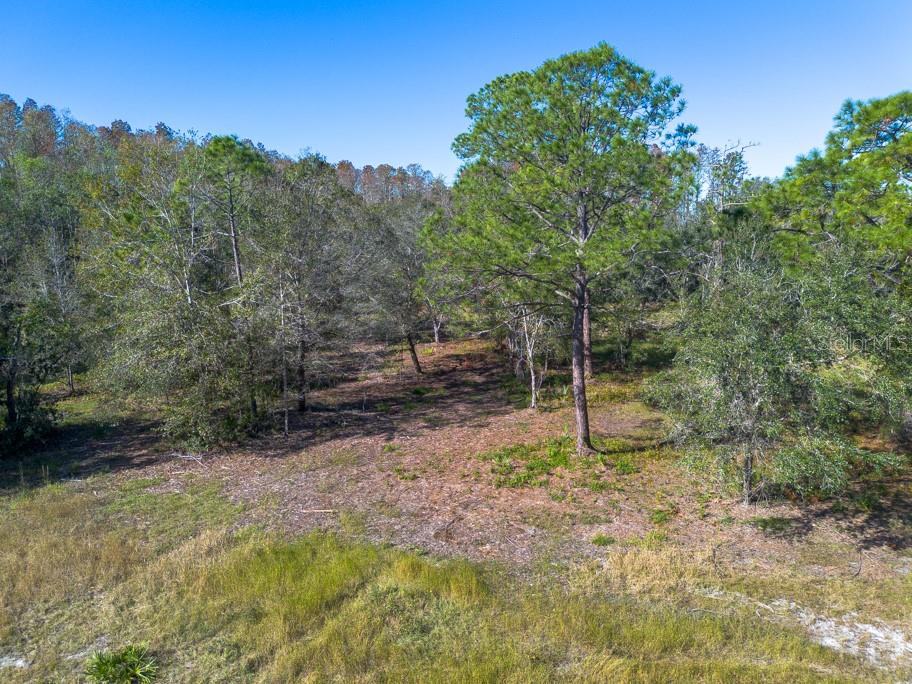 332 RANCH RD, TARPON SPRINGS, FL, 34688