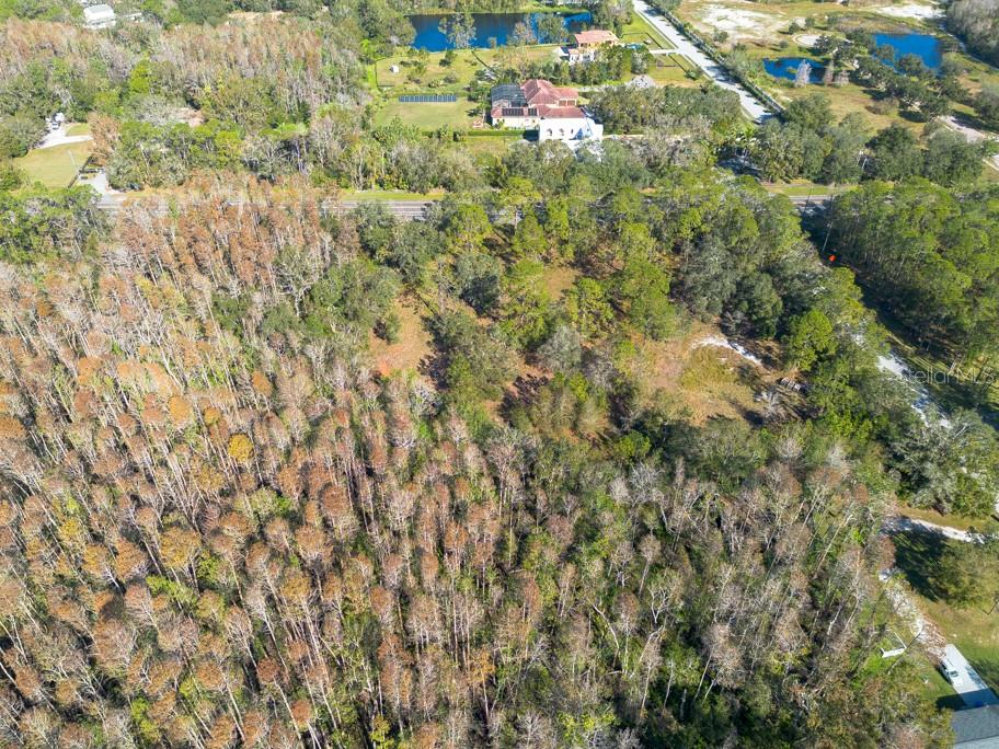 332 RANCH RD, TARPON SPRINGS, FL, 34688