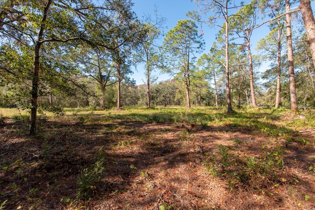 332 RANCH RD, TARPON SPRINGS, FL, 34688