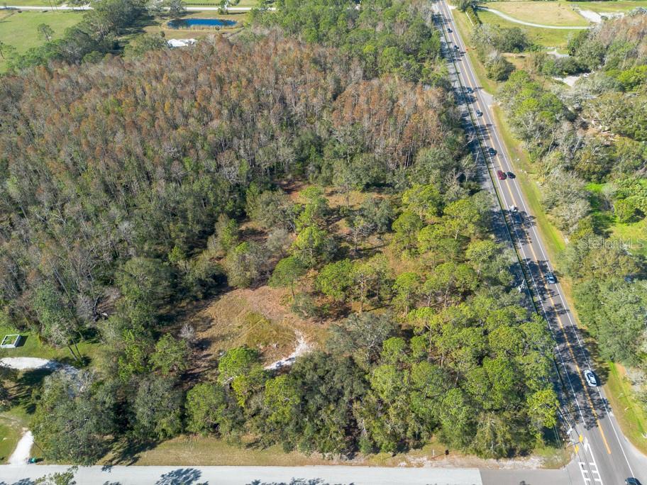 332 RANCH RD, TARPON SPRINGS, FL, 34688
