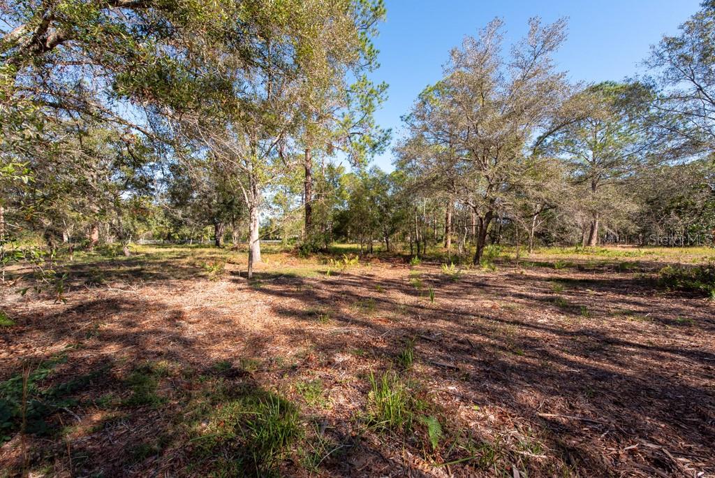 332 RANCH RD, TARPON SPRINGS, FL, 34688