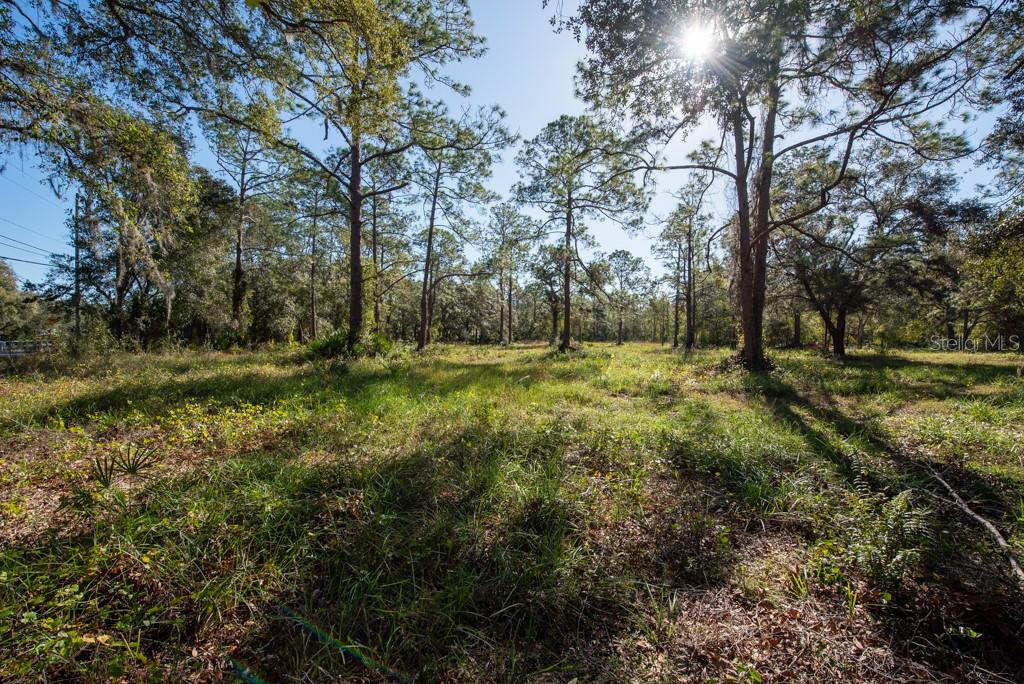 332 RANCH RD, TARPON SPRINGS, FL, 34688