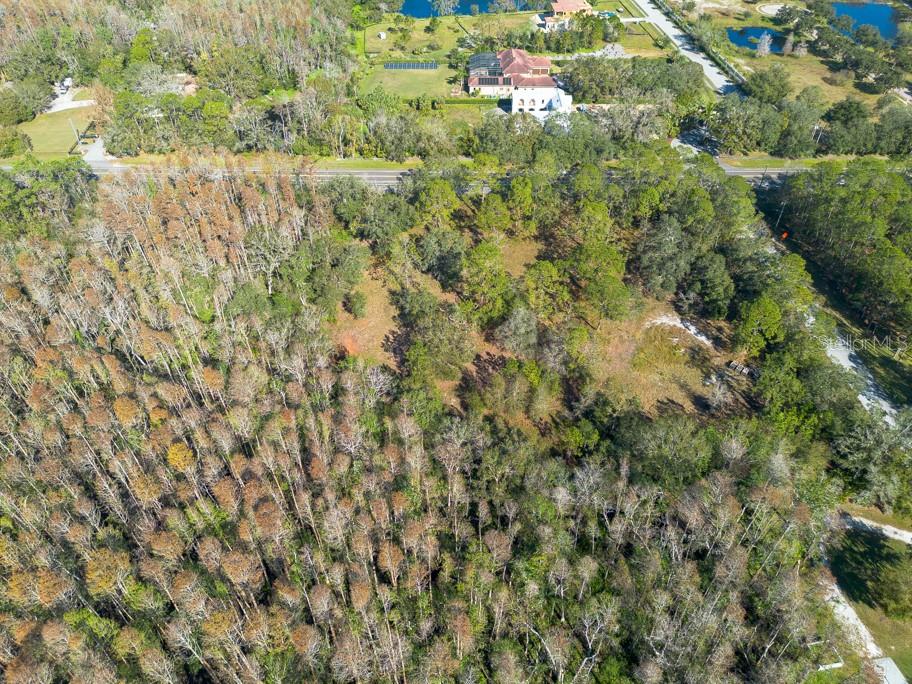 332 RANCH RD, TARPON SPRINGS, FL, 34688