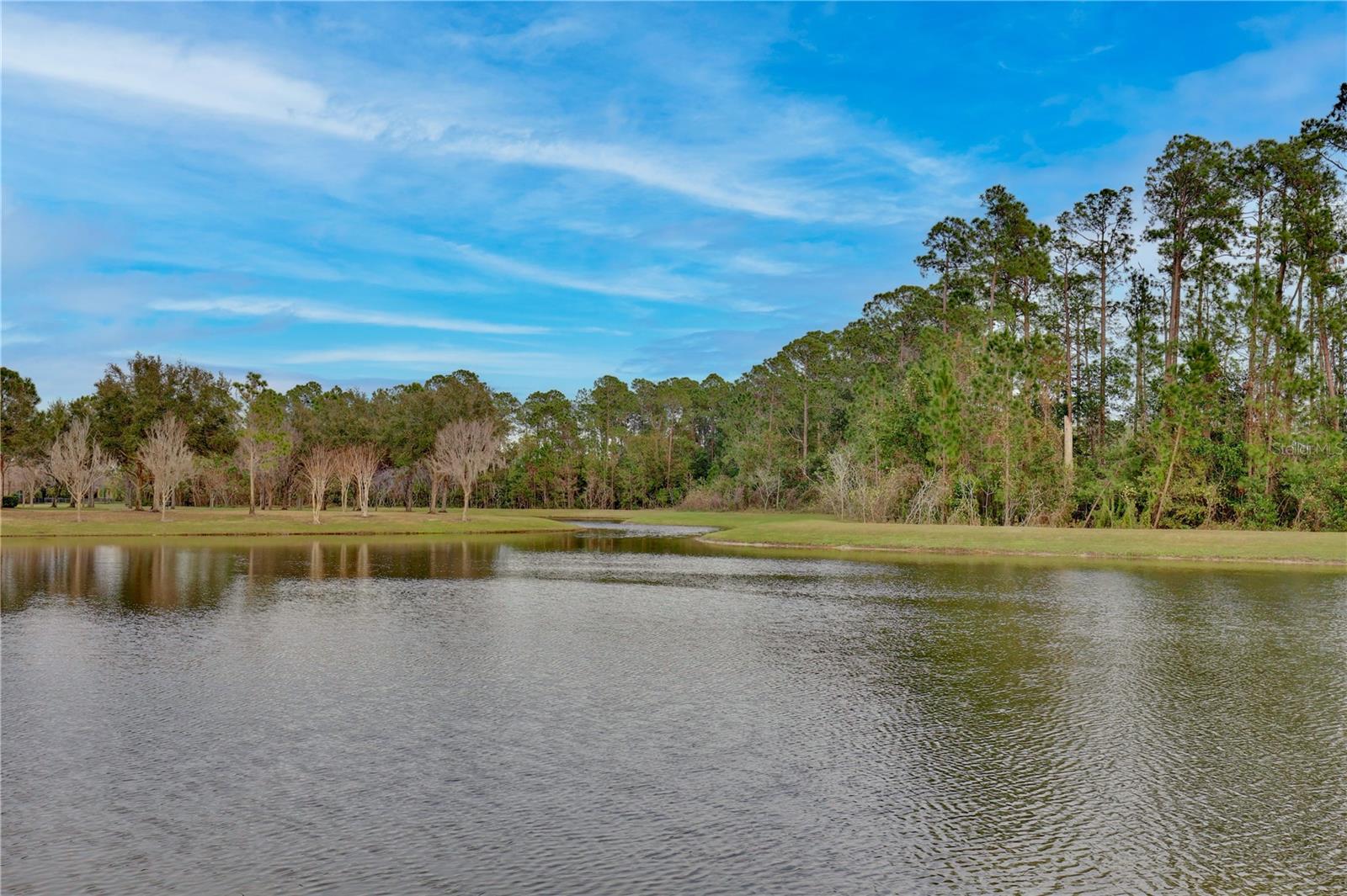 7646 BROFIELD AVE, WINDERMERE, FL, 34786