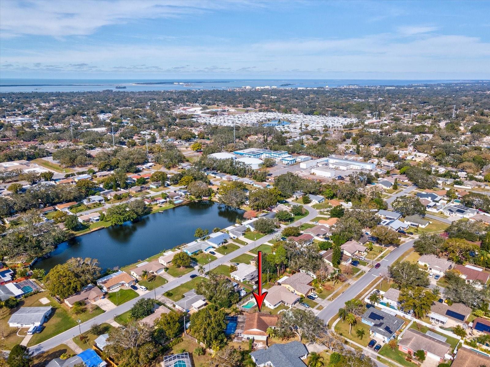 1611 BROOK DR, DUNEDIN, FL, 34698
