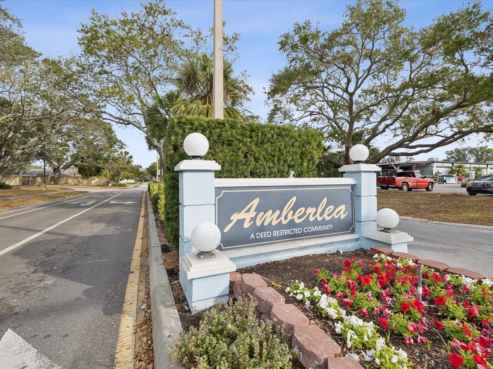 1611 BROOK DR, DUNEDIN, FL, 34698