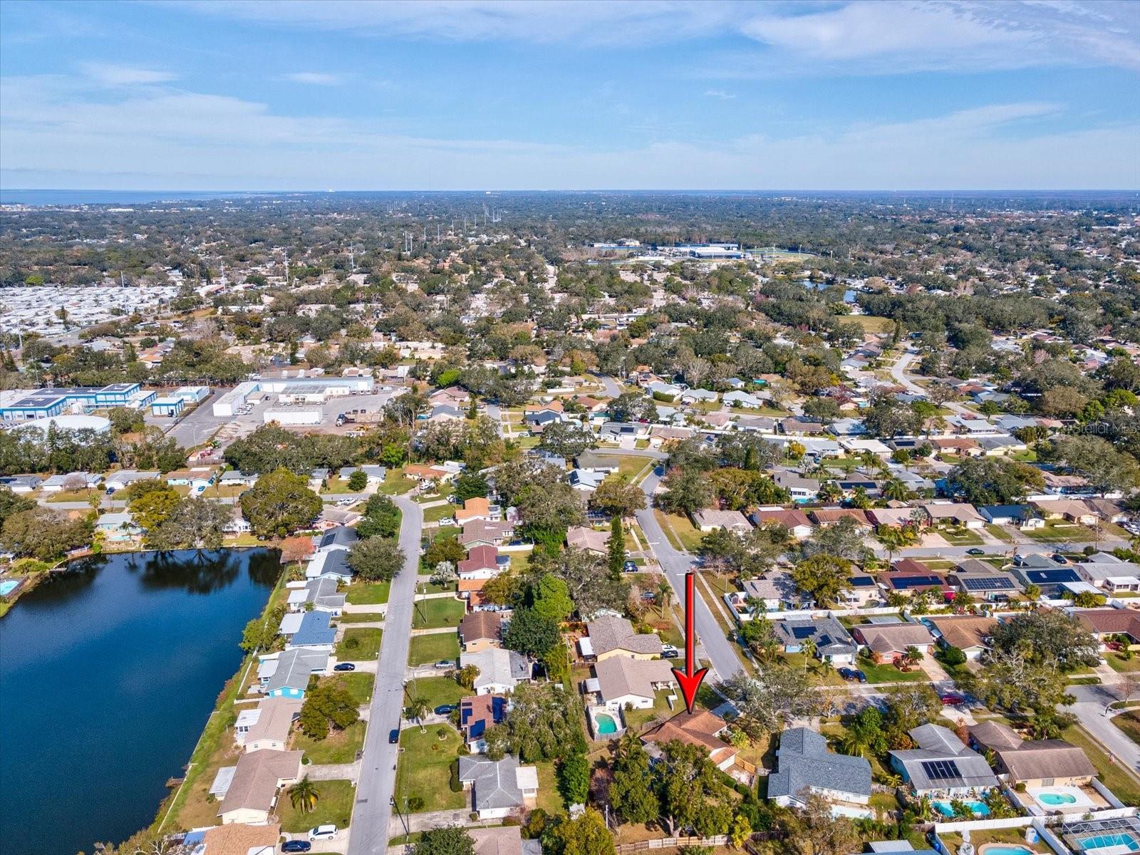 1611 BROOK DR, DUNEDIN, FL, 34698
