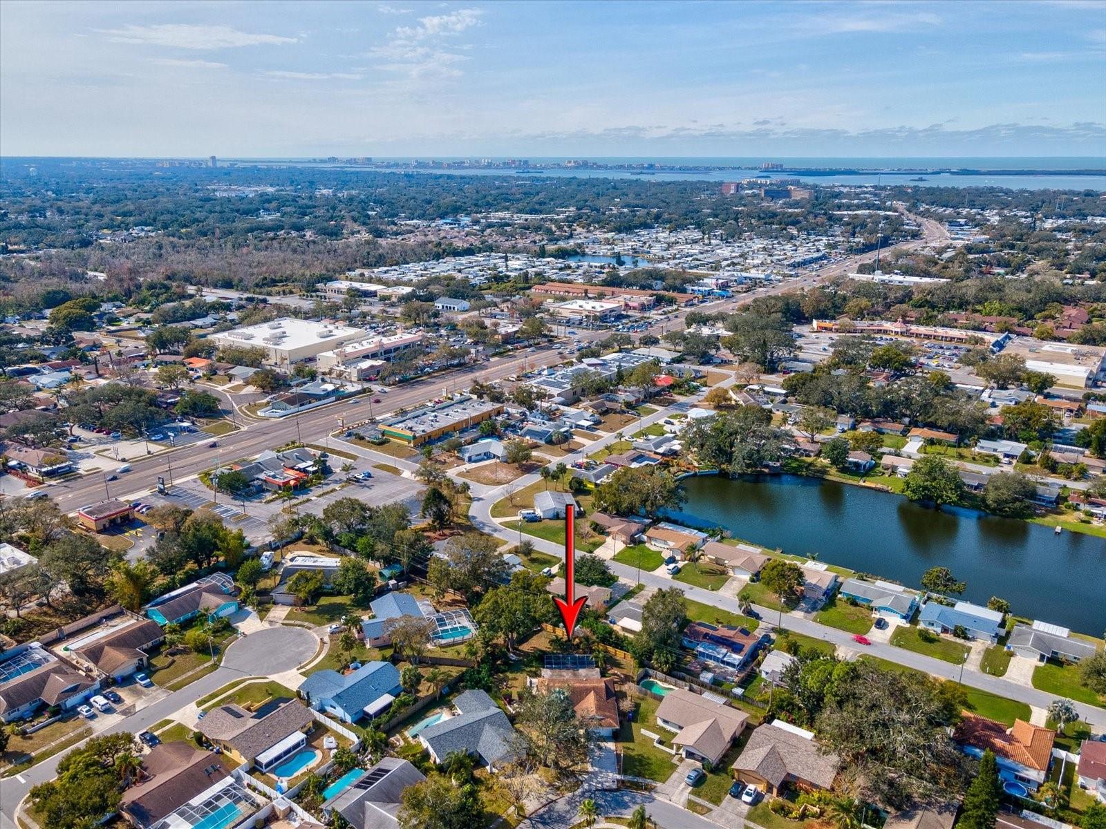 1611 BROOK DR, DUNEDIN, FL, 34698