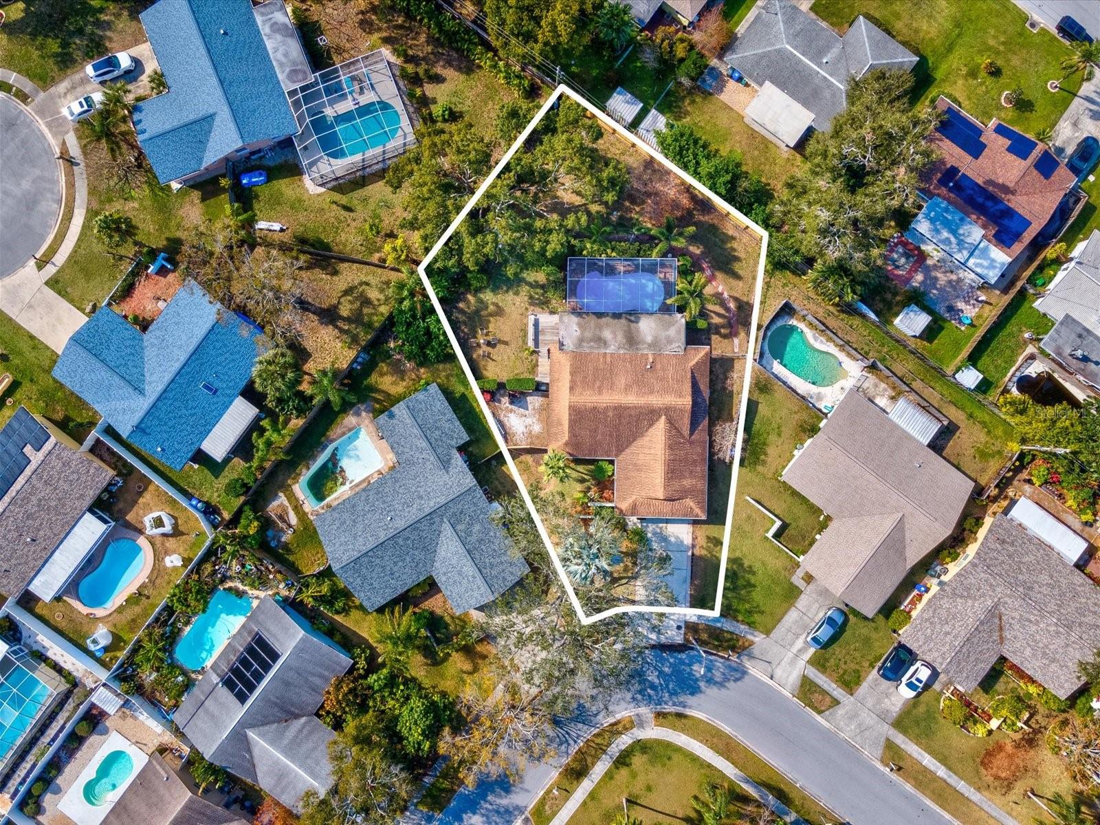 1611 BROOK DR, DUNEDIN, FL, 34698