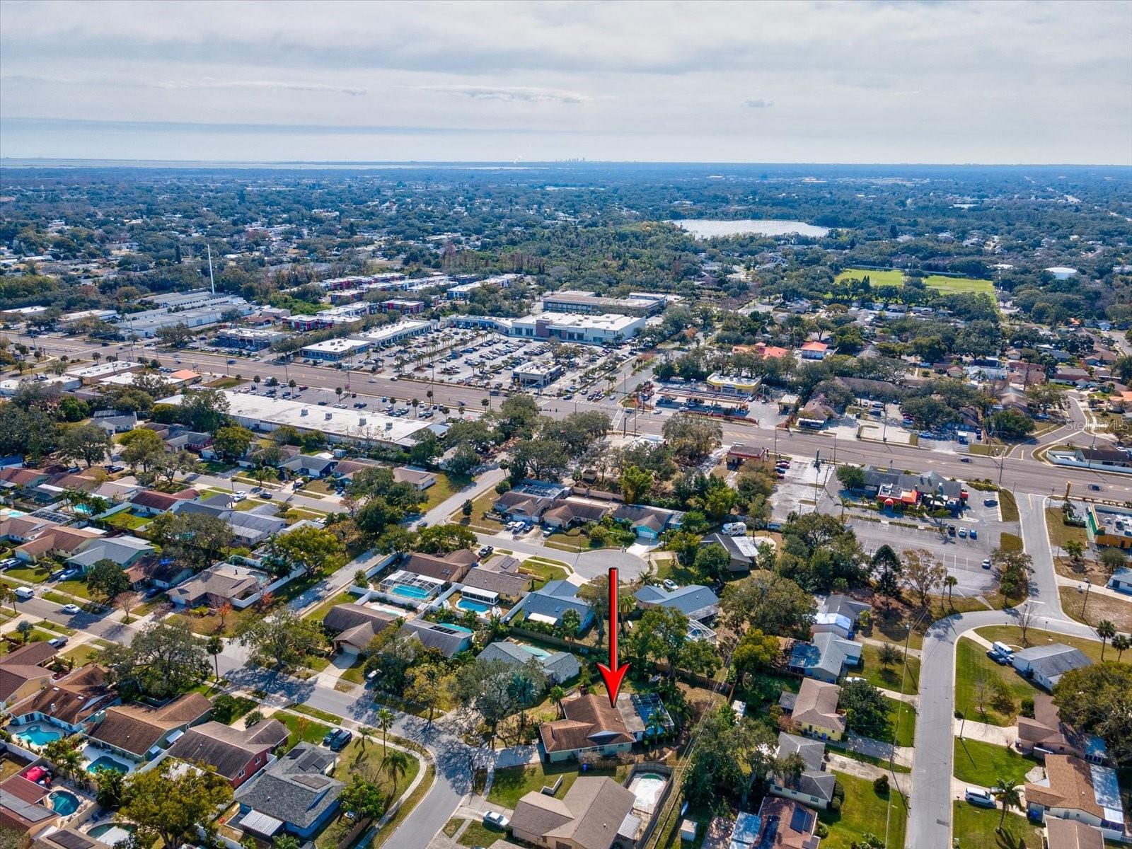 1611 BROOK DR, DUNEDIN, FL, 34698