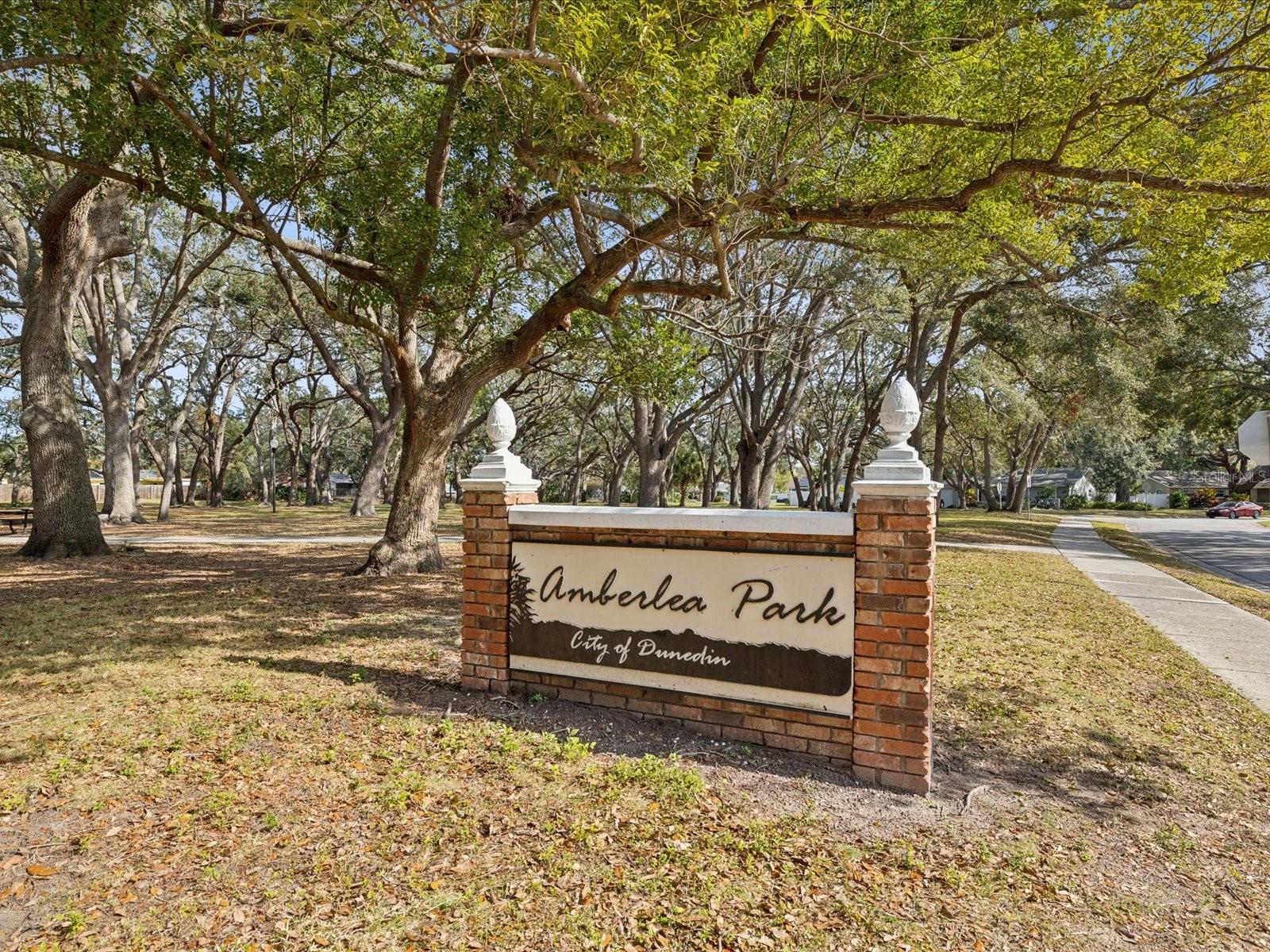 1611 BROOK DR, DUNEDIN, FL, 34698