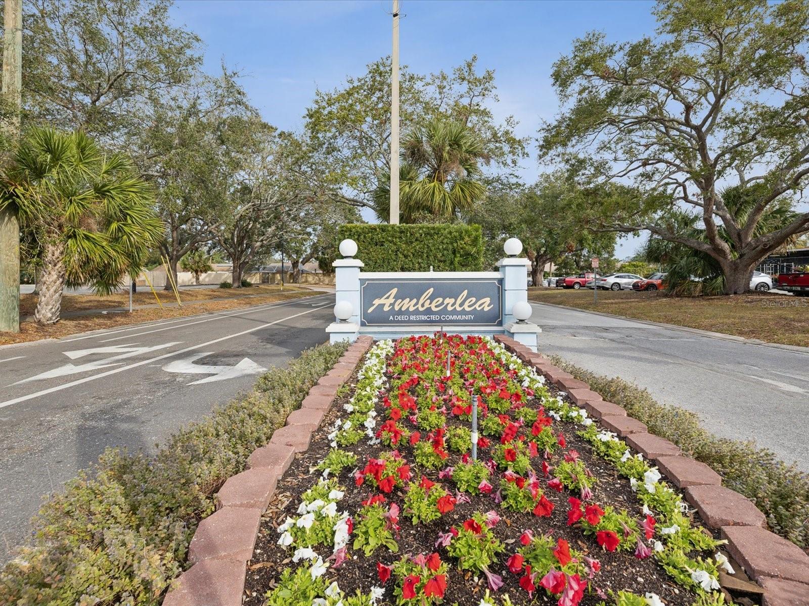 1611 BROOK DR, DUNEDIN, FL, 34698
