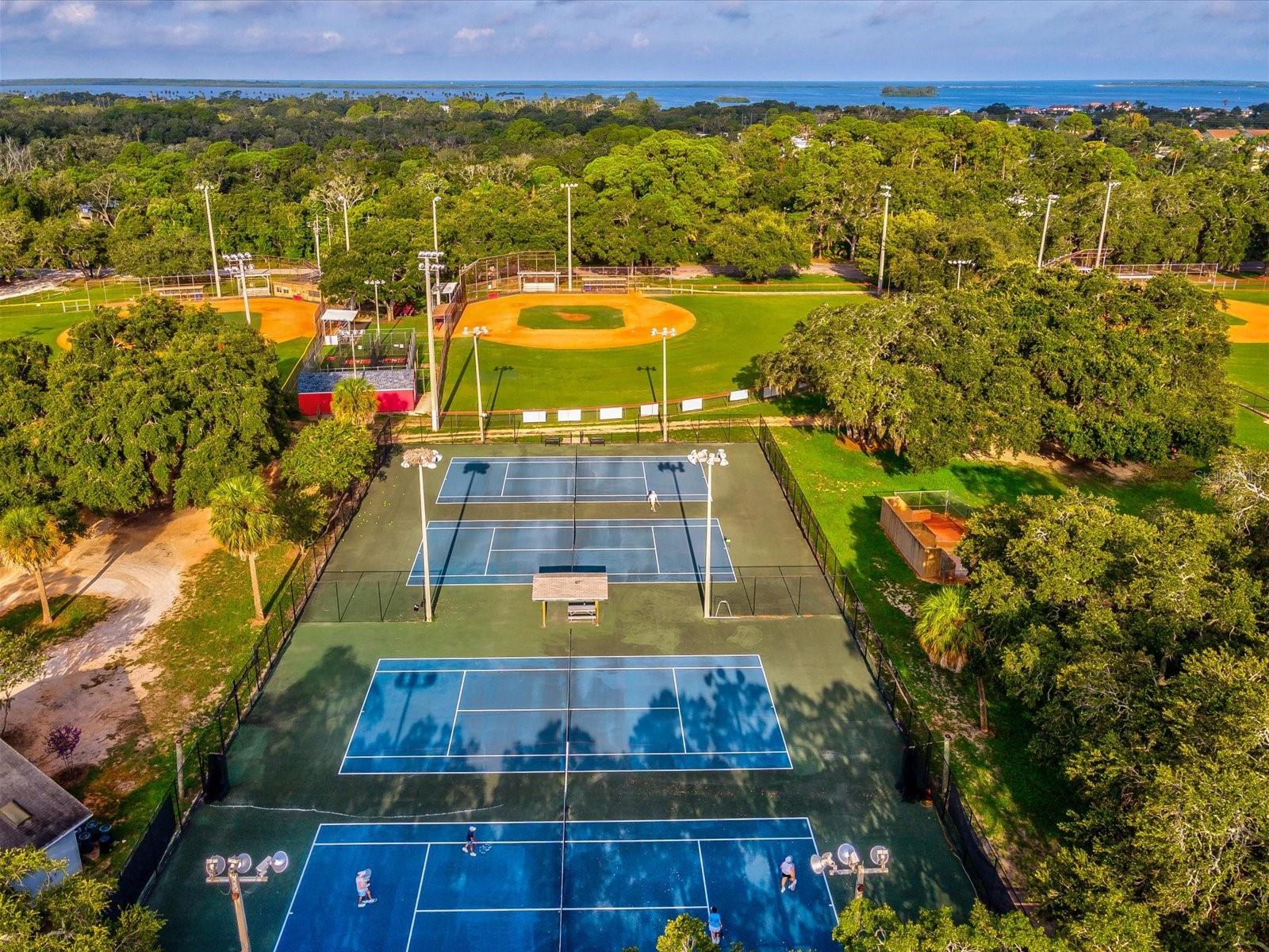 1611 BROOK DR, DUNEDIN, FL, 34698