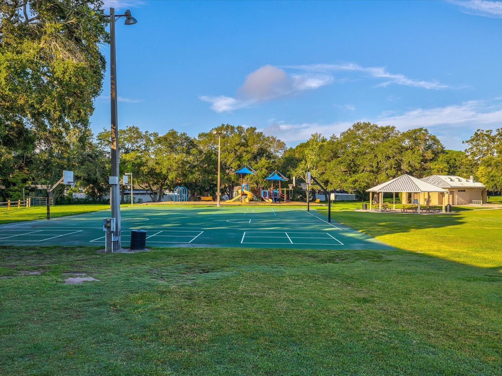 1611 BROOK DR, DUNEDIN, FL, 34698