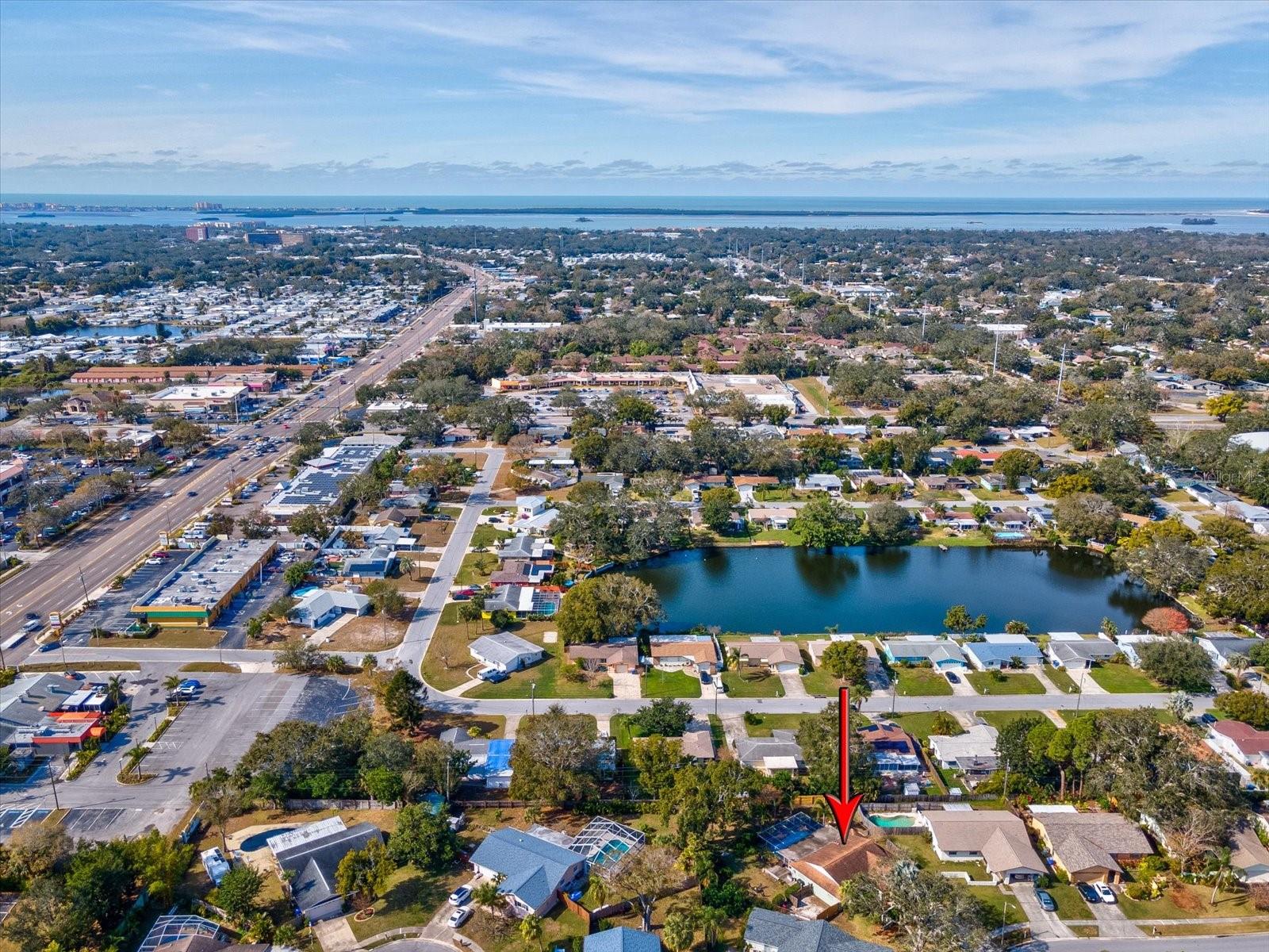 1611 BROOK DR, DUNEDIN, FL, 34698