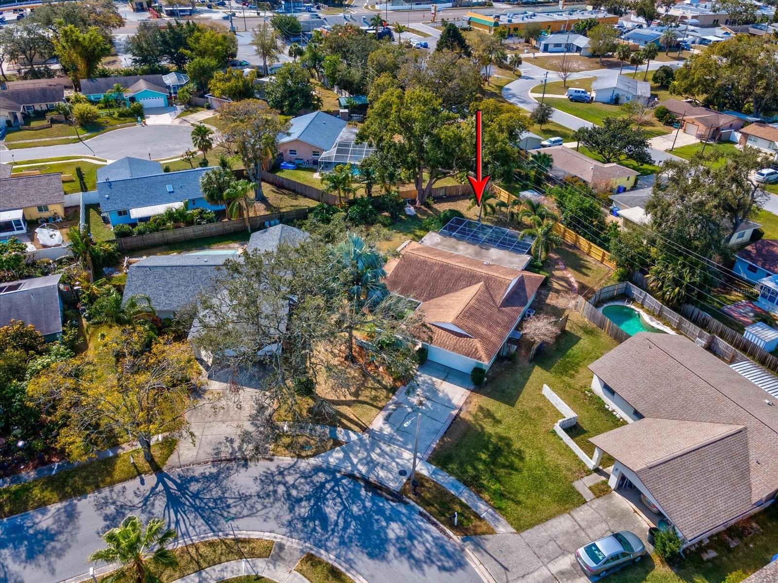 1611 BROOK DR, DUNEDIN, FL, 34698