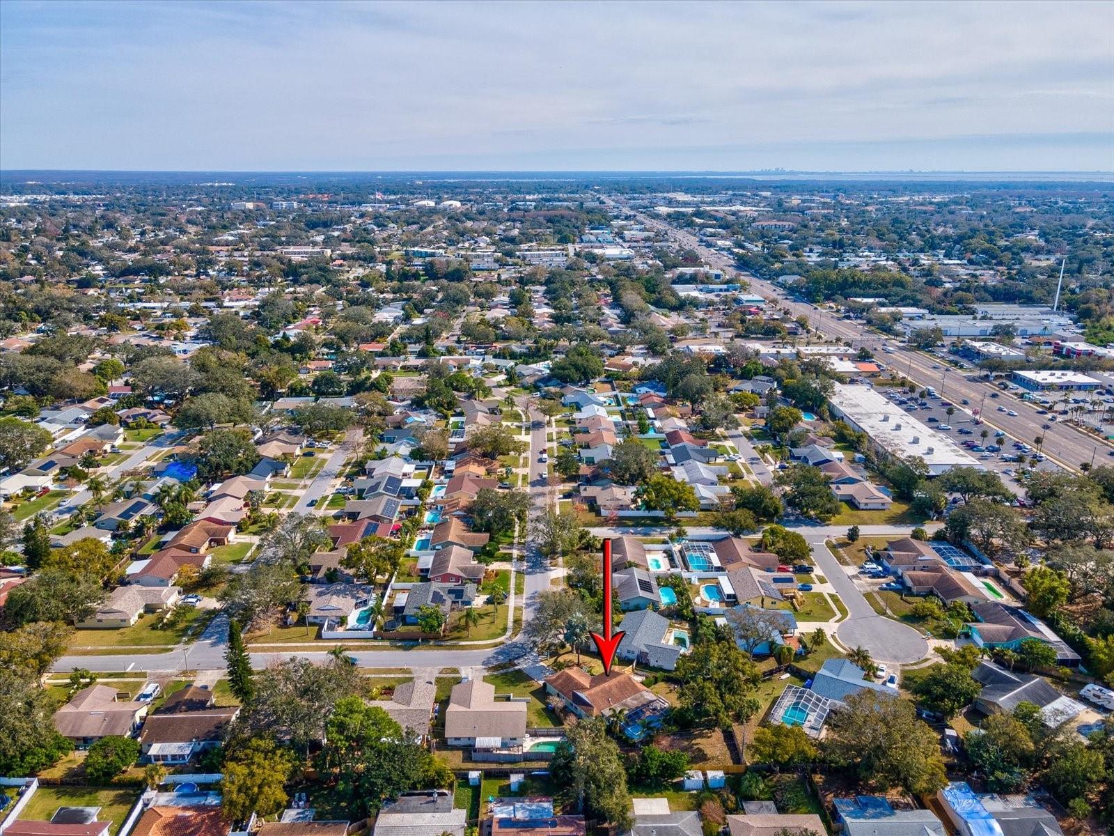 1611 BROOK DR, DUNEDIN, FL, 34698