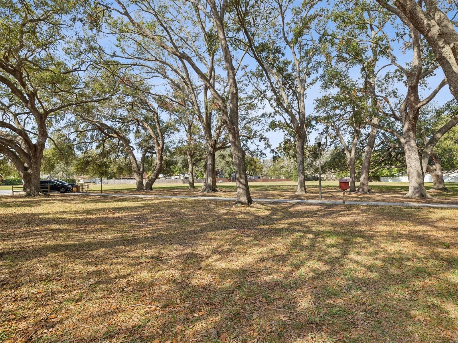 1611 BROOK DR, DUNEDIN, FL, 34698