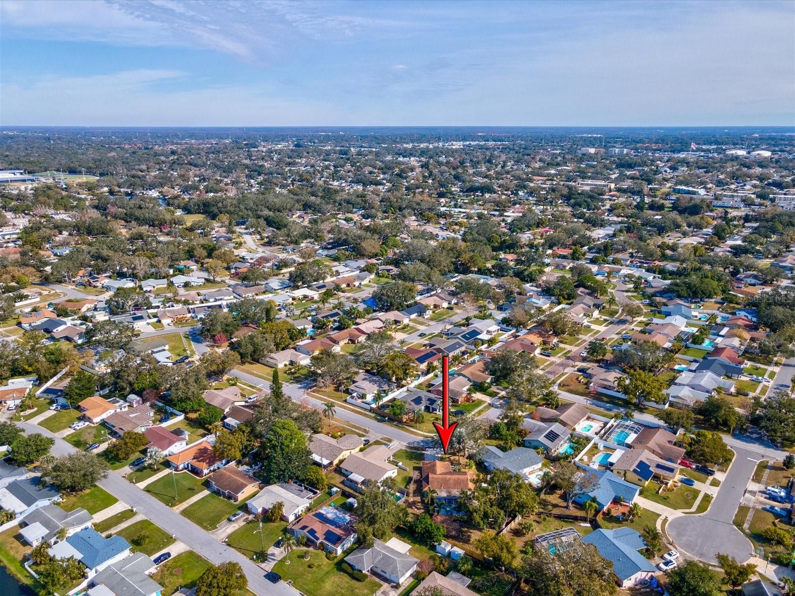 1611 BROOK DR, DUNEDIN, FL, 34698