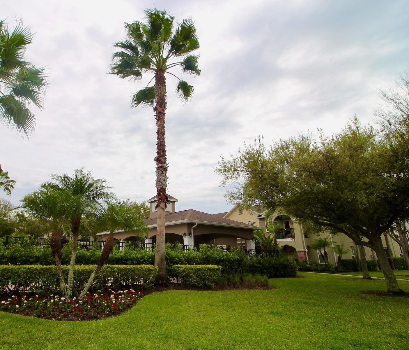 14153 STILTON ST, TAMPA, FL, 33626
