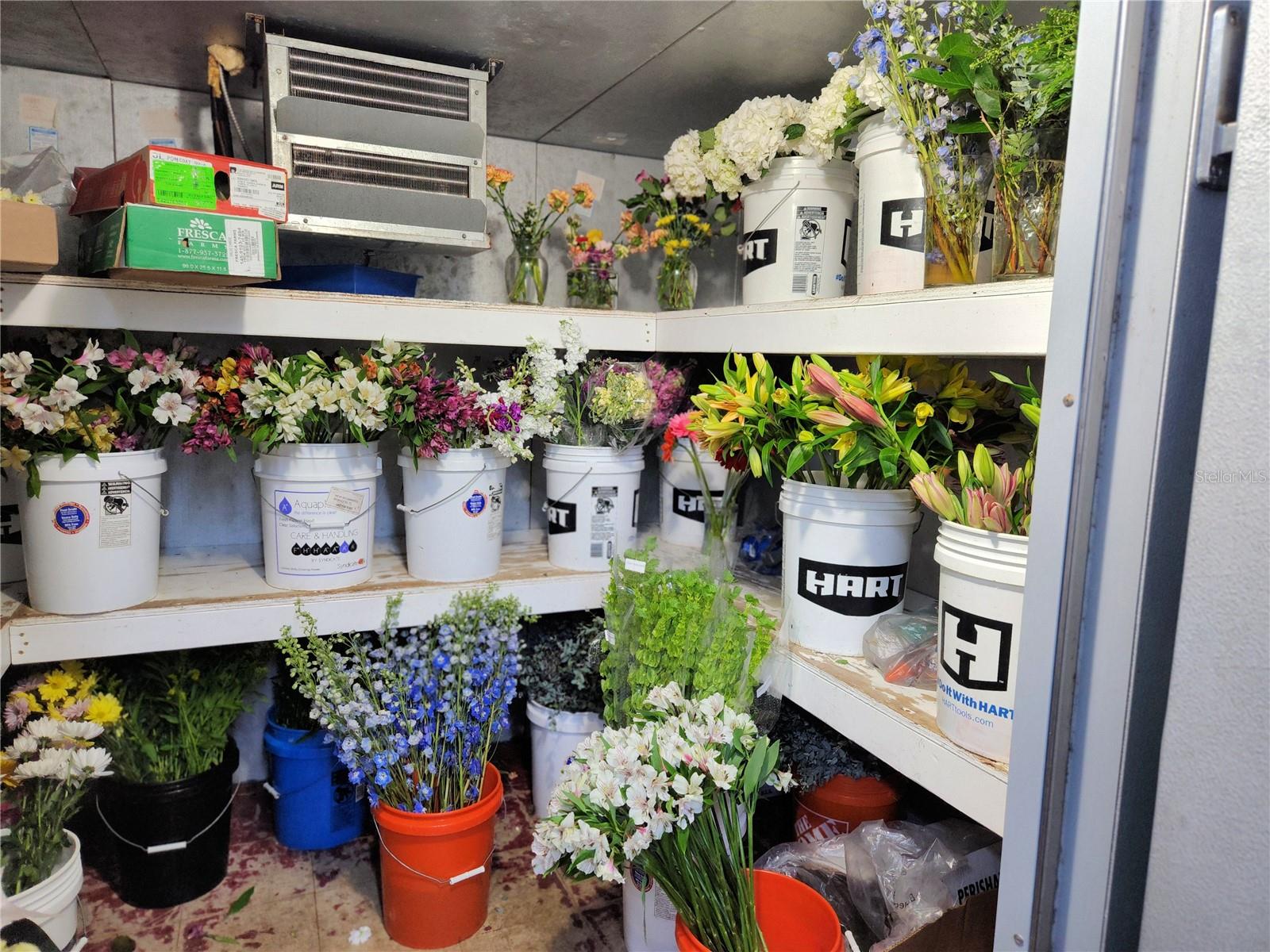 114 S PARSONS AVE, BRANDON, FL, 33511