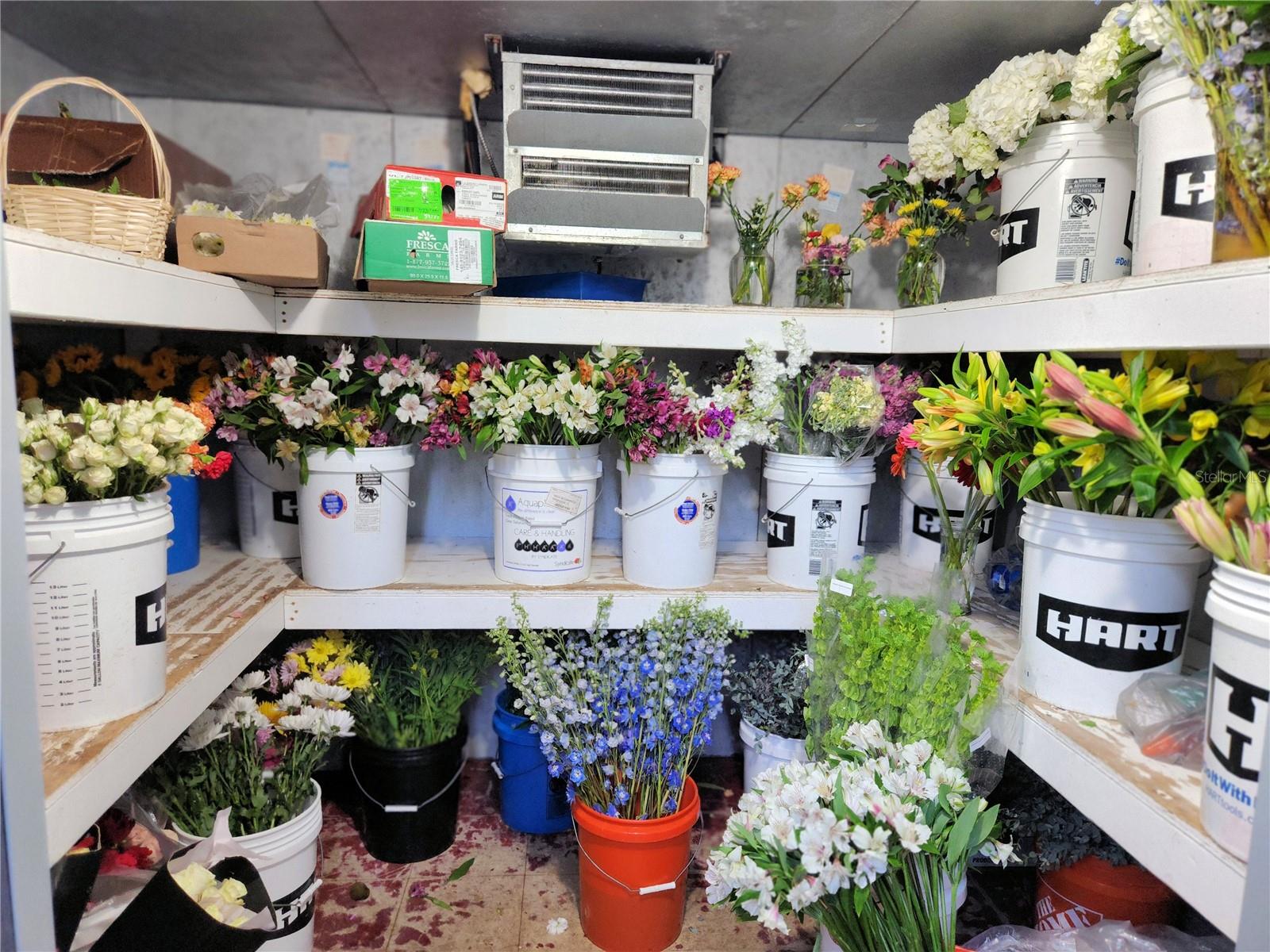 114 S PARSONS AVE, BRANDON, FL, 33511