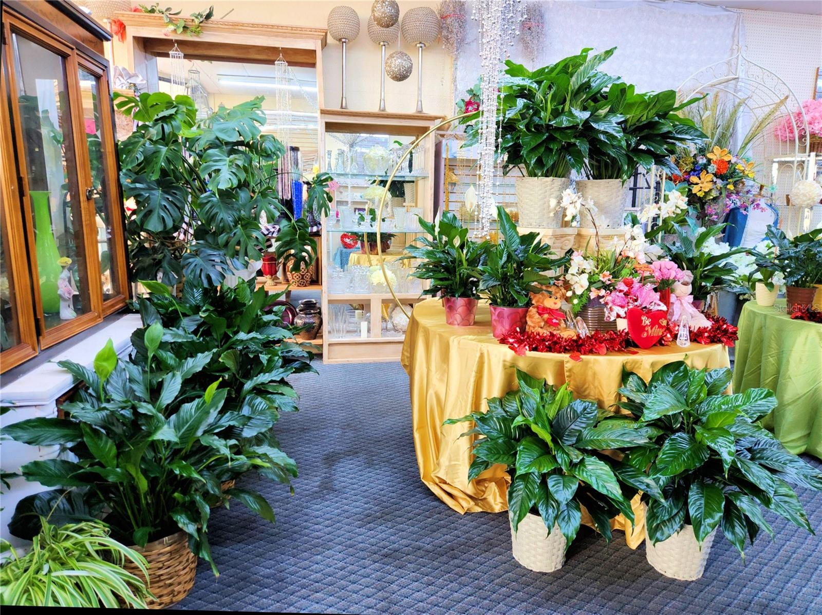 114 S PARSONS AVE, BRANDON, FL, 33511