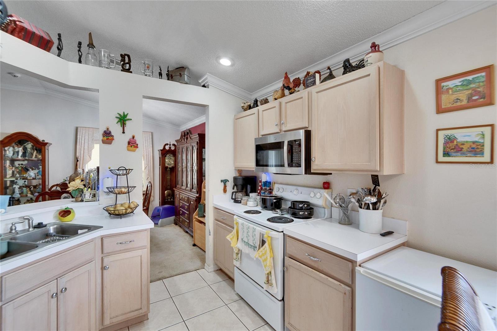 10516 GOLDWATER LN, RIVERVIEW, FL, 33578