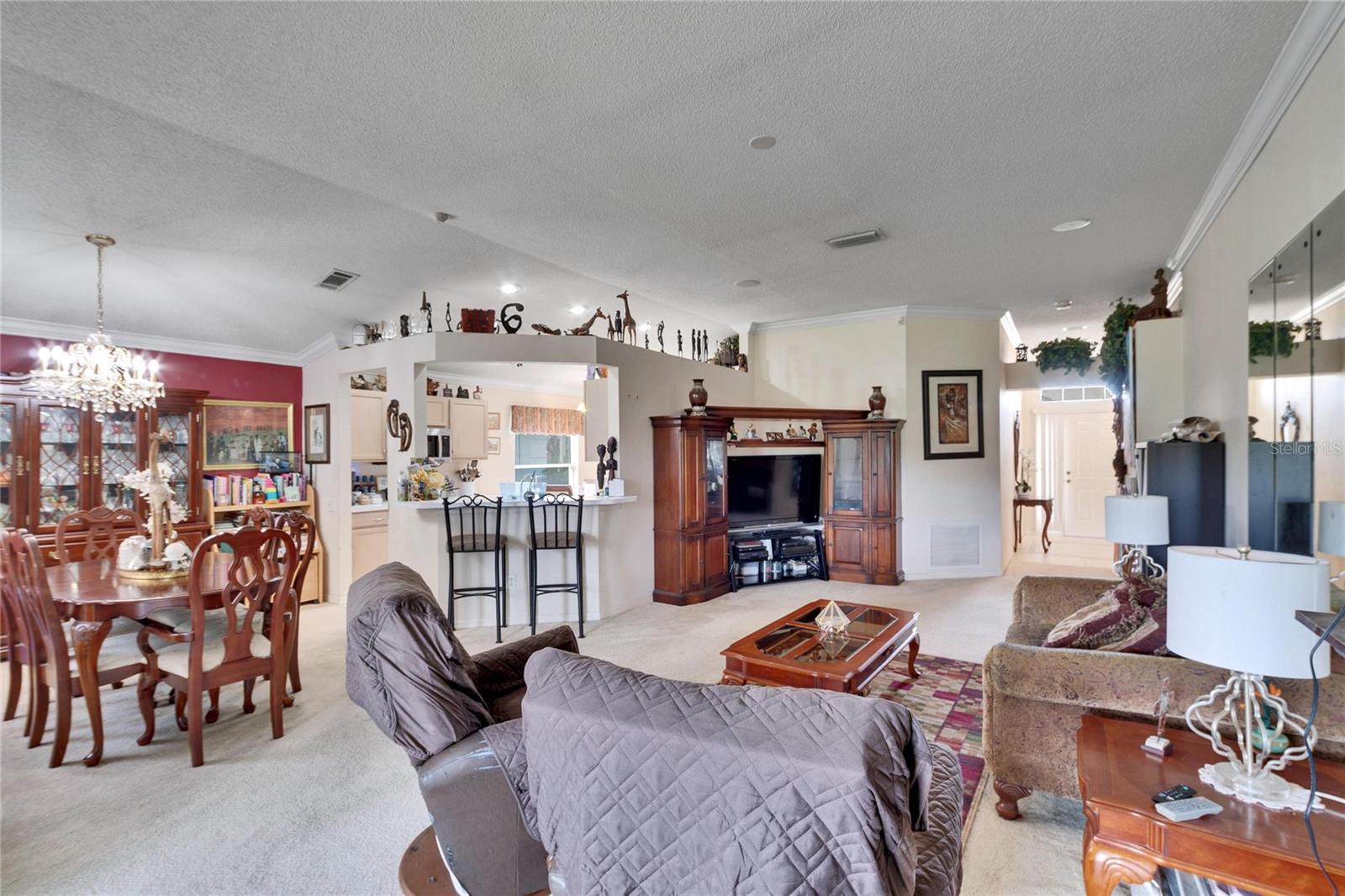 10516 GOLDWATER LN, RIVERVIEW, FL, 33578