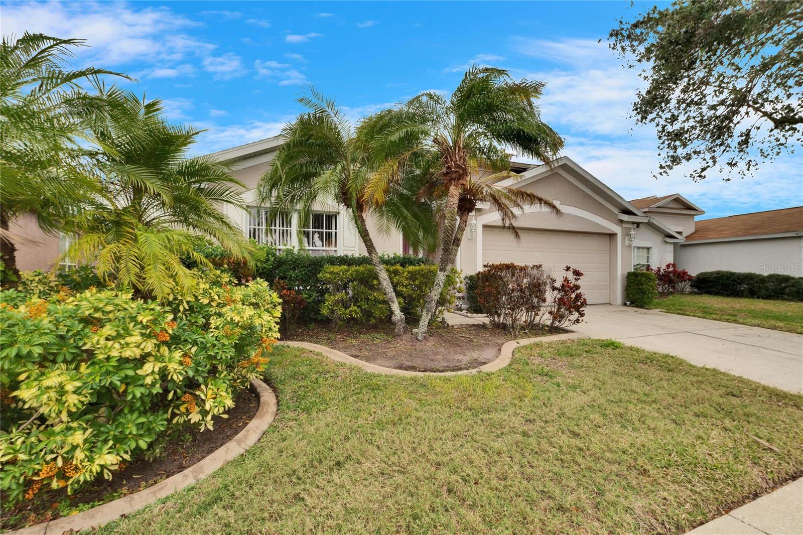10516 GOLDWATER LN, RIVERVIEW, FL, 33578
