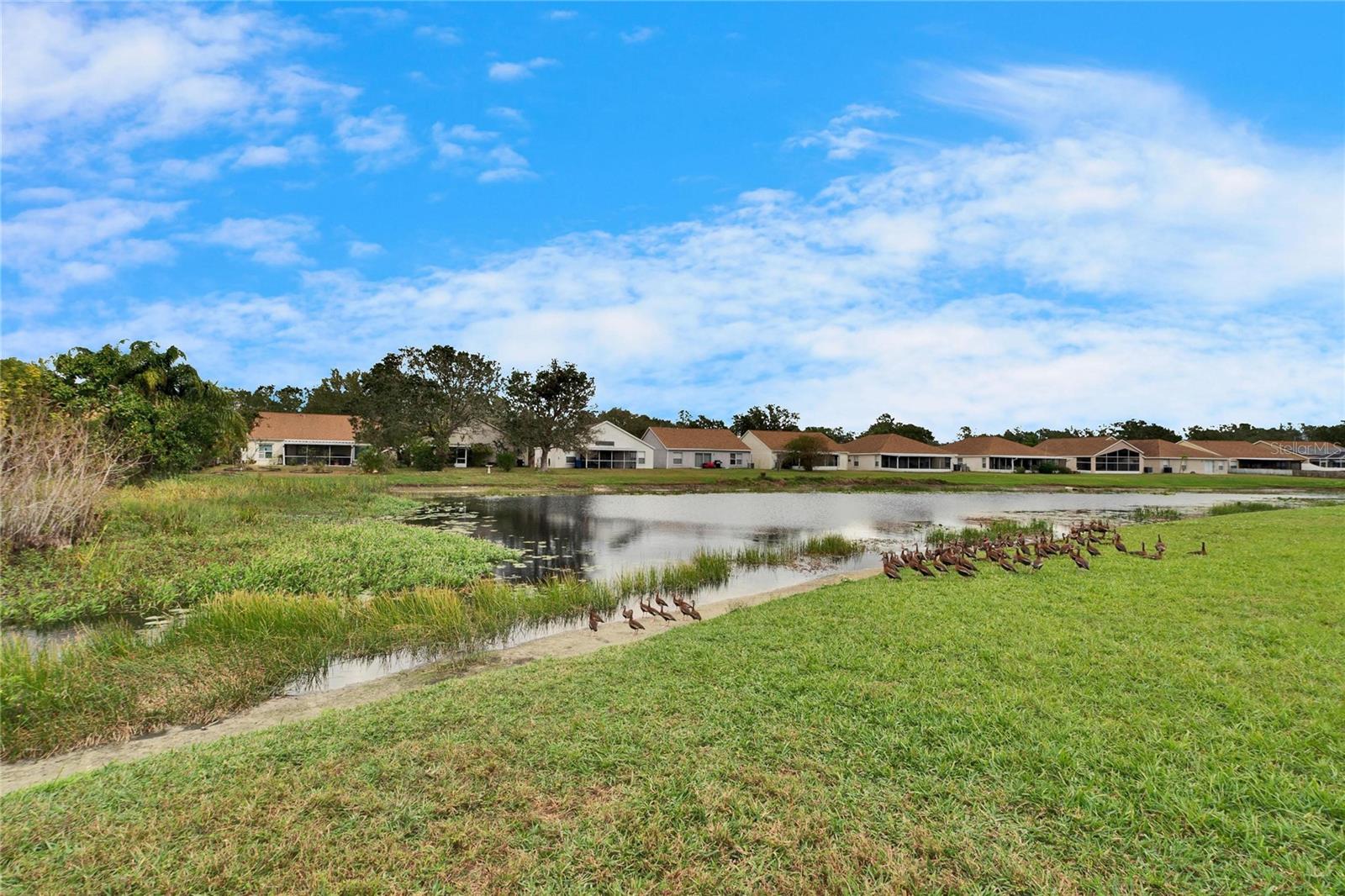 10516 GOLDWATER LN, RIVERVIEW, FL, 33578