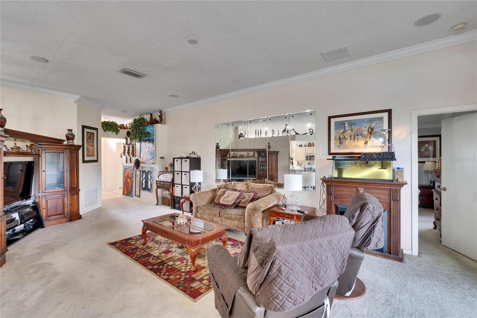 10516 GOLDWATER LN, RIVERVIEW, FL, 33578