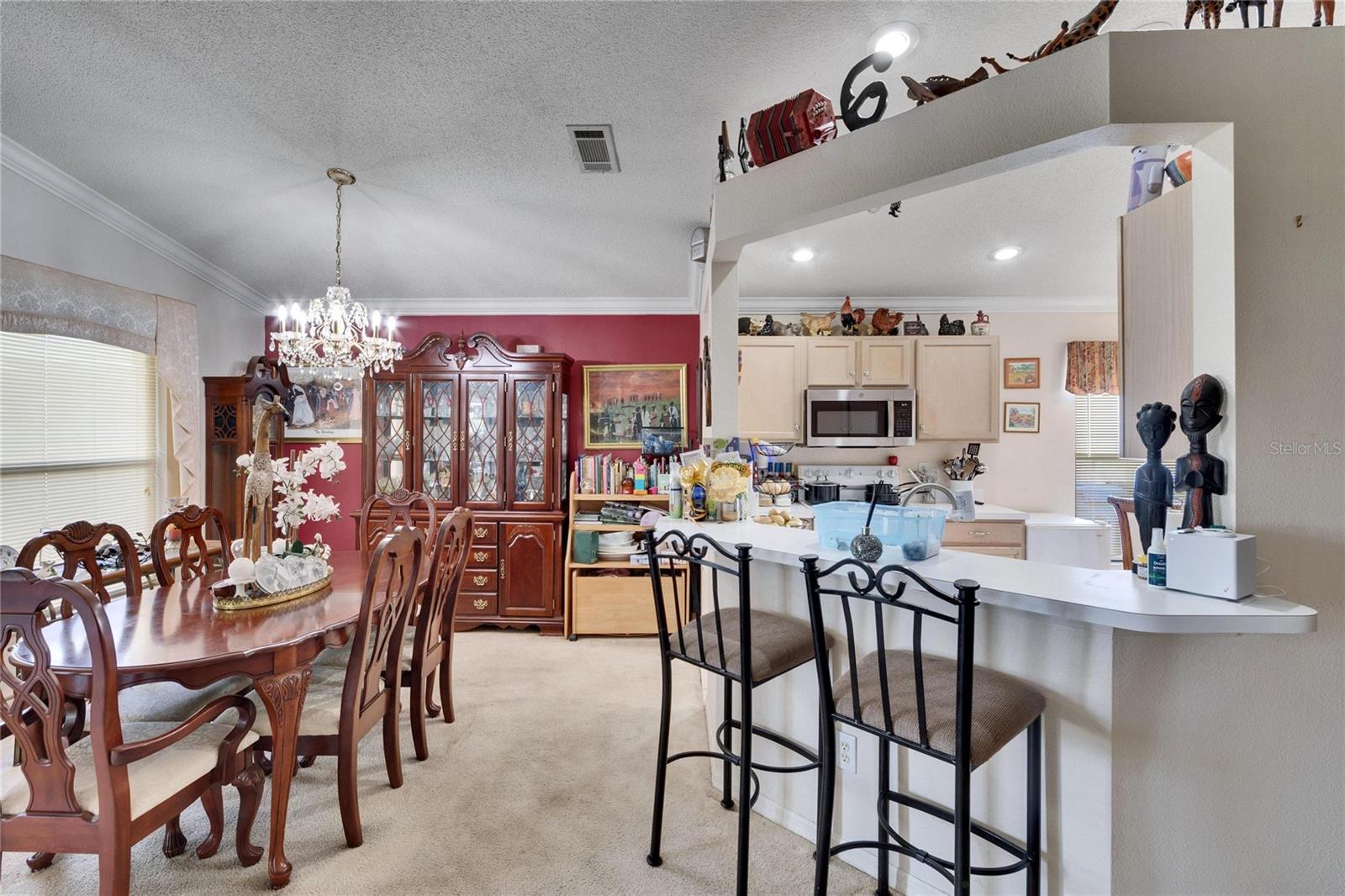 10516 GOLDWATER LN, RIVERVIEW, FL, 33578