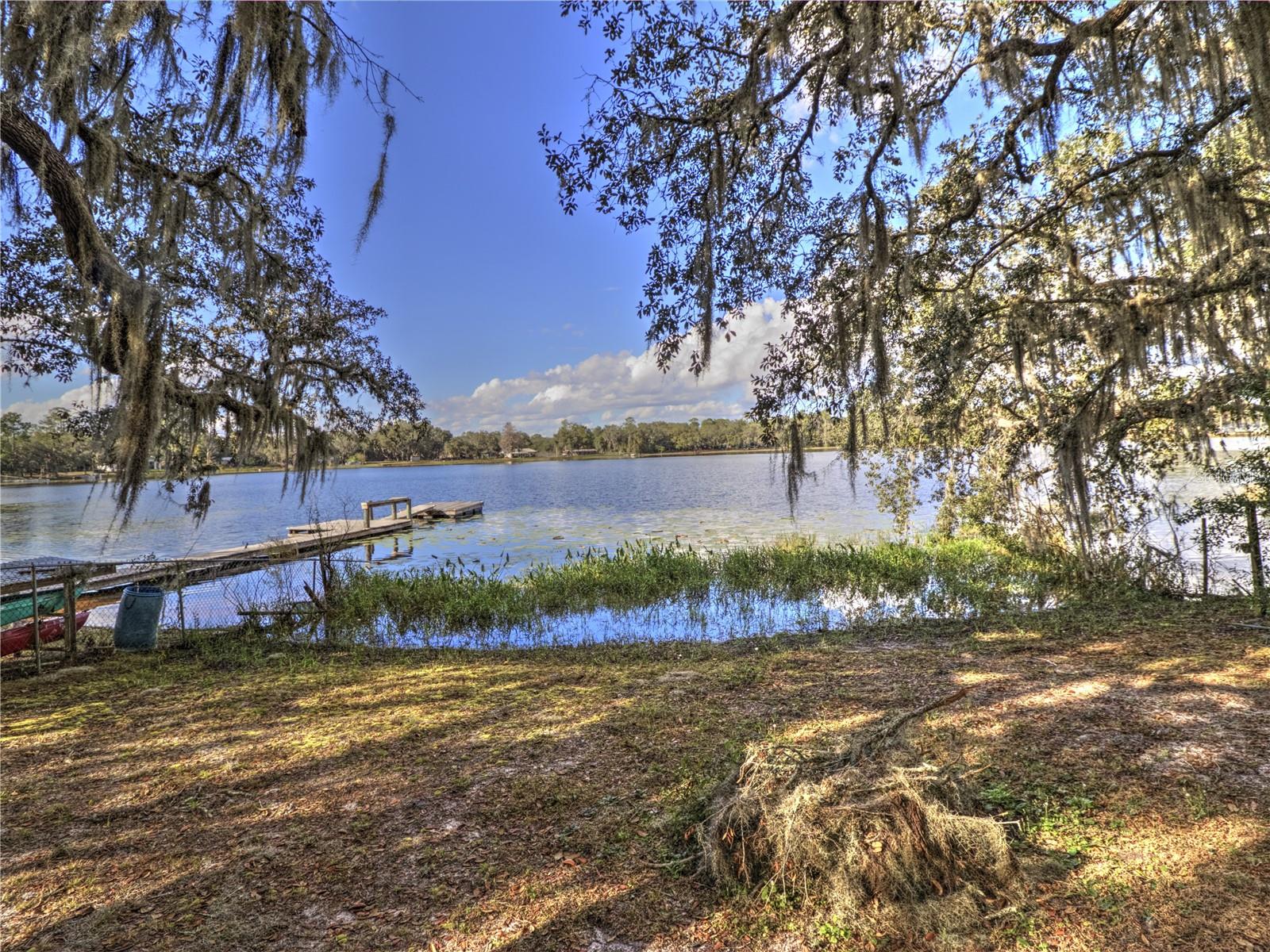 10655 NE 224TH PLACE RD, FORT MC COY, FL, 32134